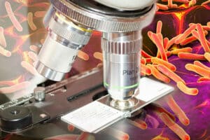 analisi microbiologiche alimenti