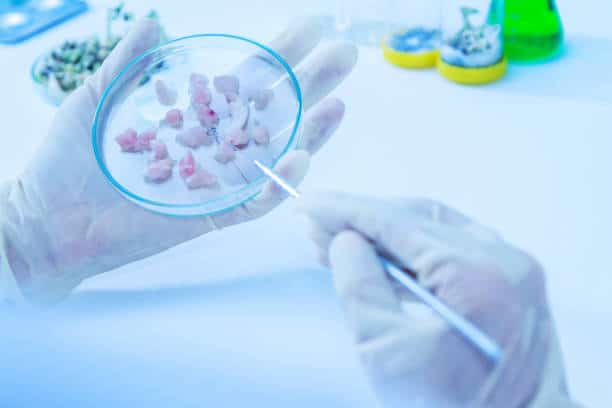 analisi microbiologiche