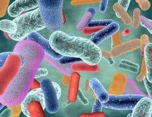 esame del microbiota intestinale