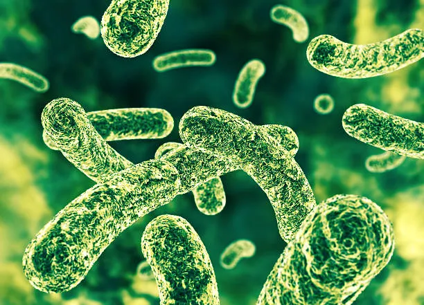 test del microbiota intestinale